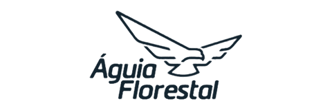 Logotipo da Águia Florestal, cliente da EHK Engenharia